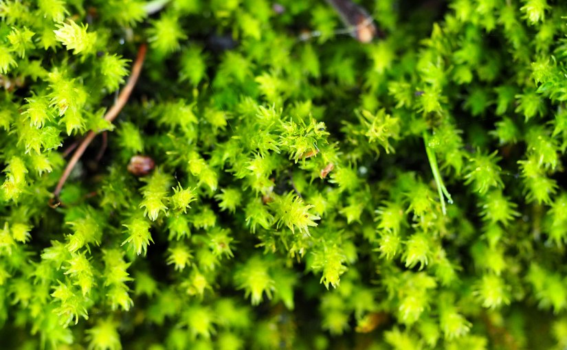 Flashback Friday #40