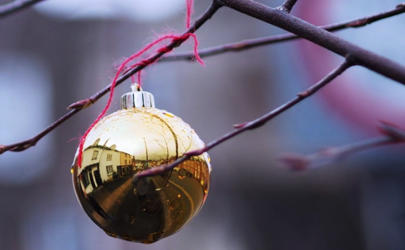 Monthly Photo Challenge: The Changing Seasons&nbsp;#12