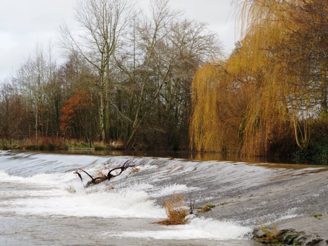 Dinham Weir