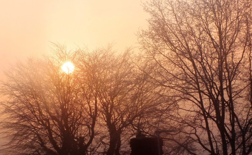 Monthly Photo Challenge: Frosty&nbsp;January