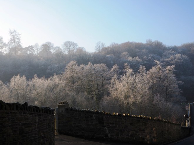 Sunlight on the bridge