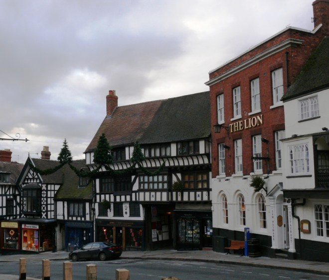 Wyle Cop