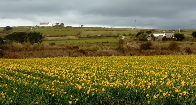 Monthly Photo Challenge: March&nbsp;Move