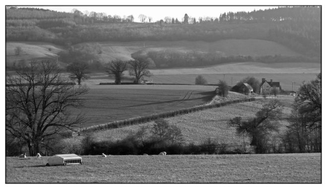 rural-landscape-b&w