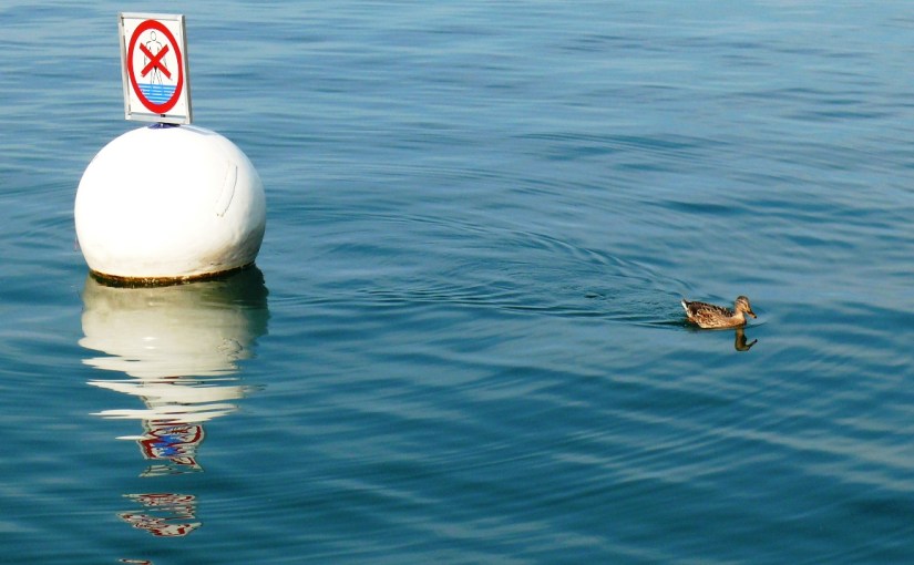 Thursday’s Special