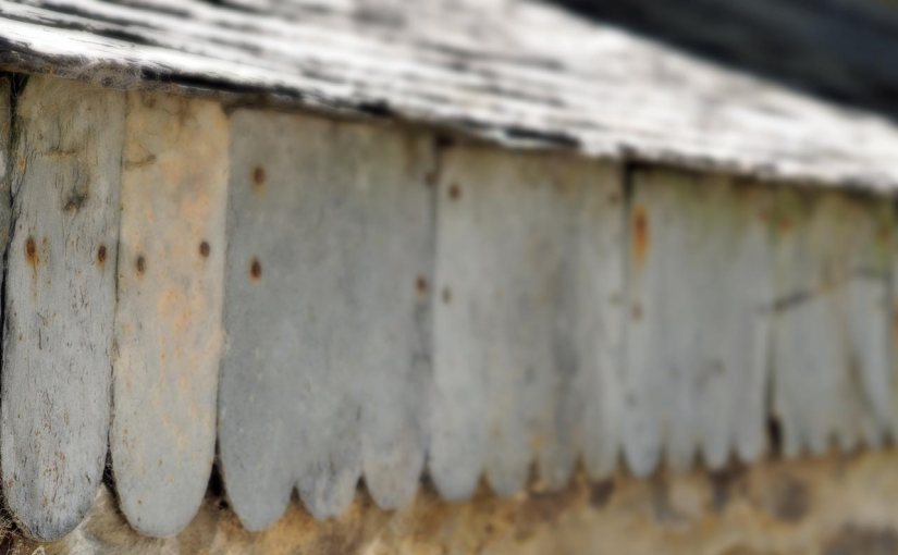 Flashback Friday #29