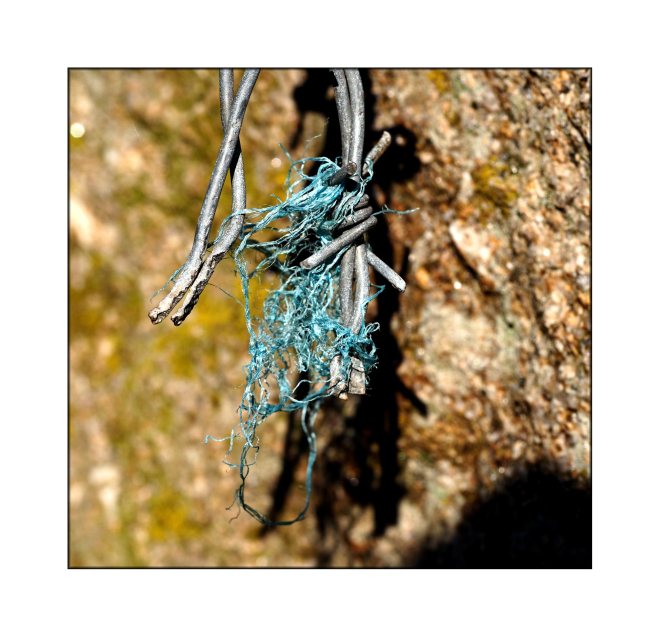String caught in barbed wire