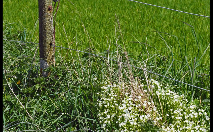 October Squares | Day&nbsp;Eight