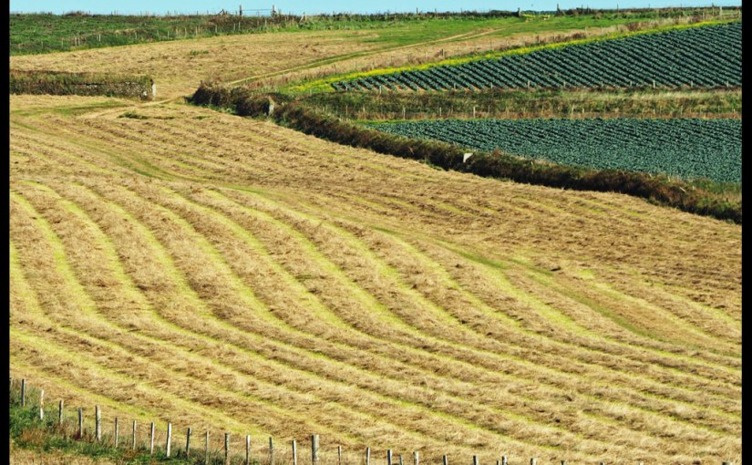 October Squares | Day&nbsp;Twelve