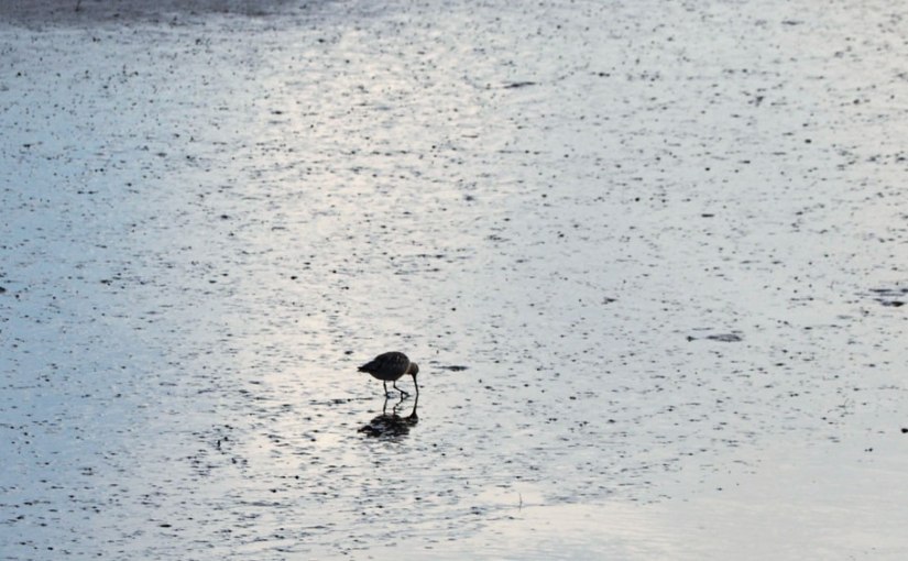 October Squares | Day&nbsp;Thirty-One