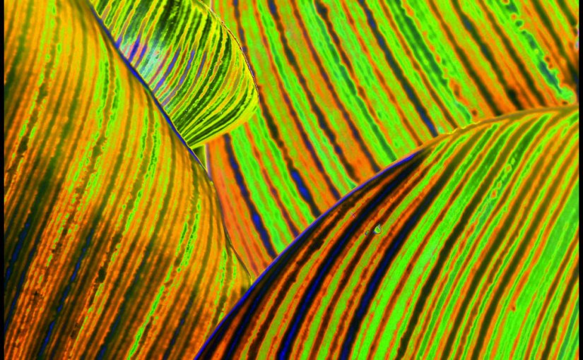 October Squares | Day&nbsp;Twenty-Seven