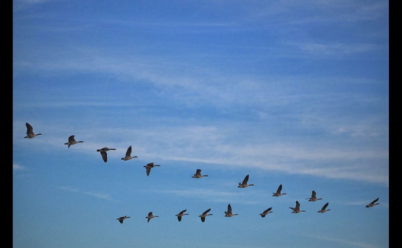 October Squares | Day&nbsp;Twenty-Eight