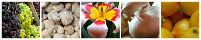 2020 Photo Challenge&nbsp;#6