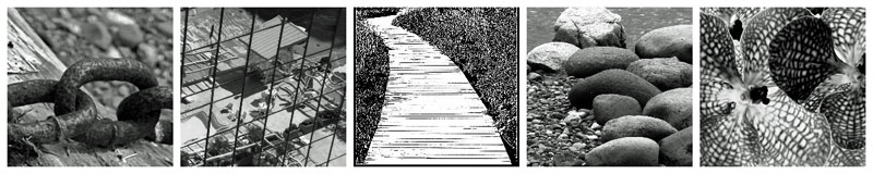 2020 Photo Challenge&nbsp;#48