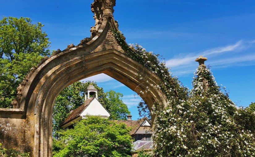 World Photography Day