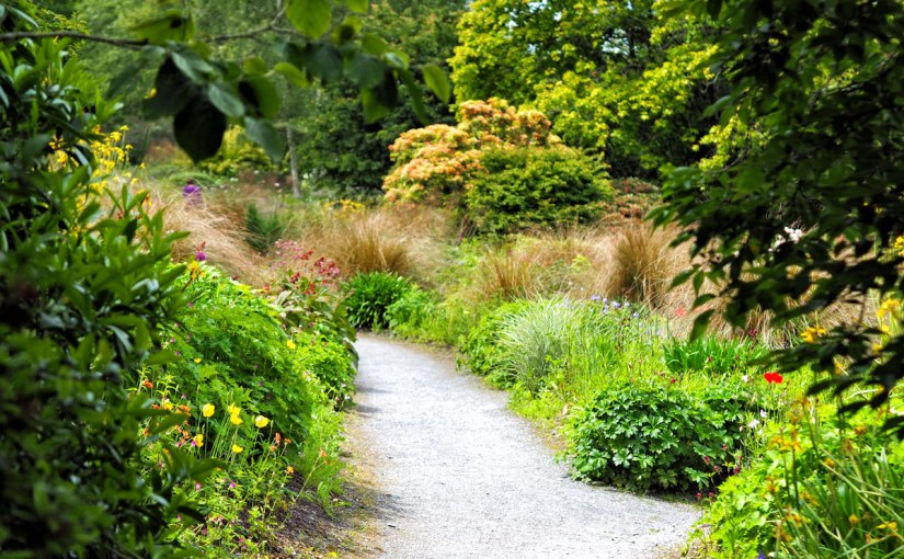 Garden Portrait: The Garden House Part&nbsp;I