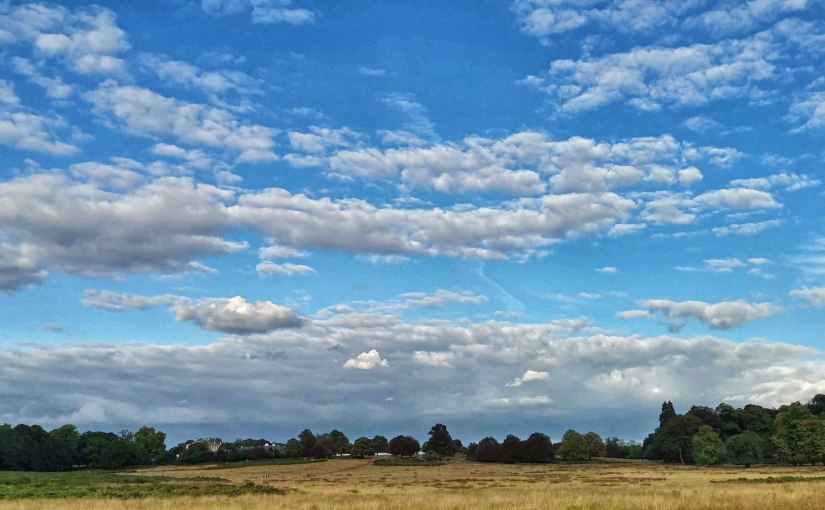 A Stroll in Richmond&nbsp;Park
