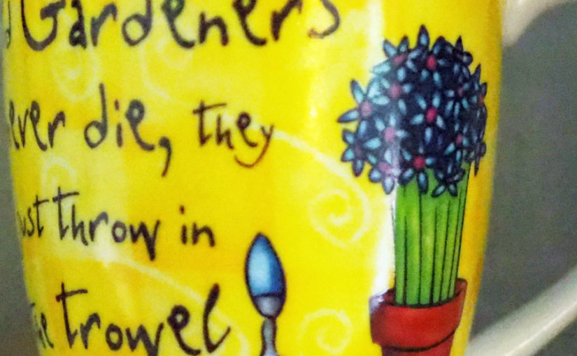 Inspiration found in the&nbsp;Kitchen