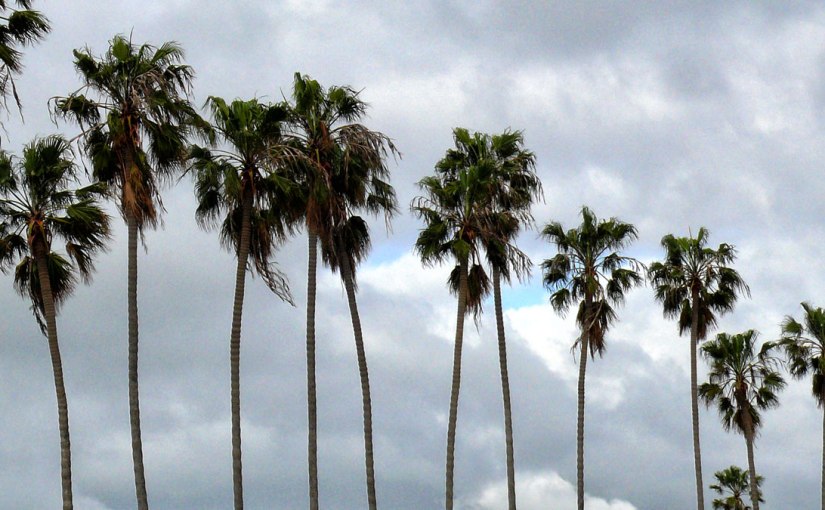 Postcards from Around the&nbsp;World