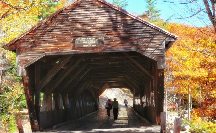 Postcards from Around the&nbsp;World