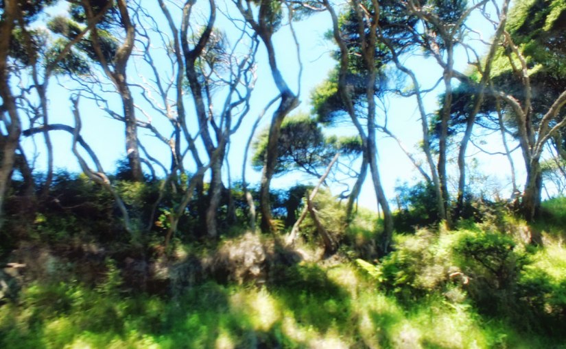 Postcards from around the&nbsp;world