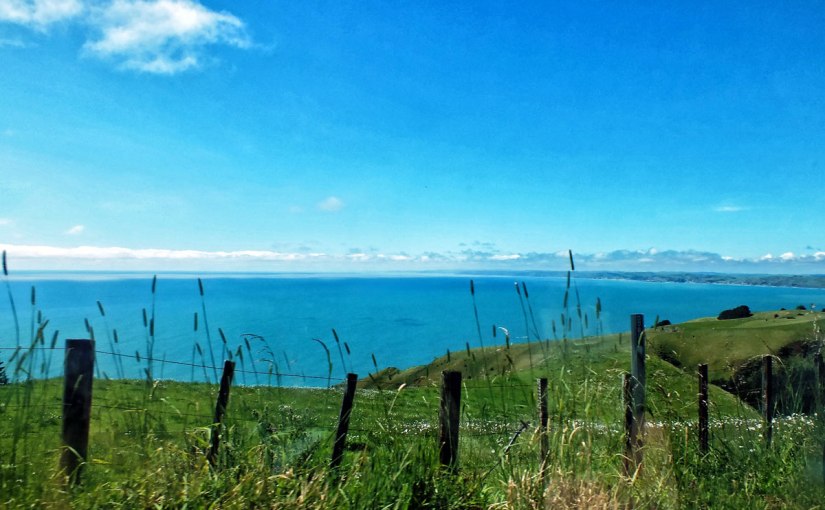 Postcards from around the&nbsp;world