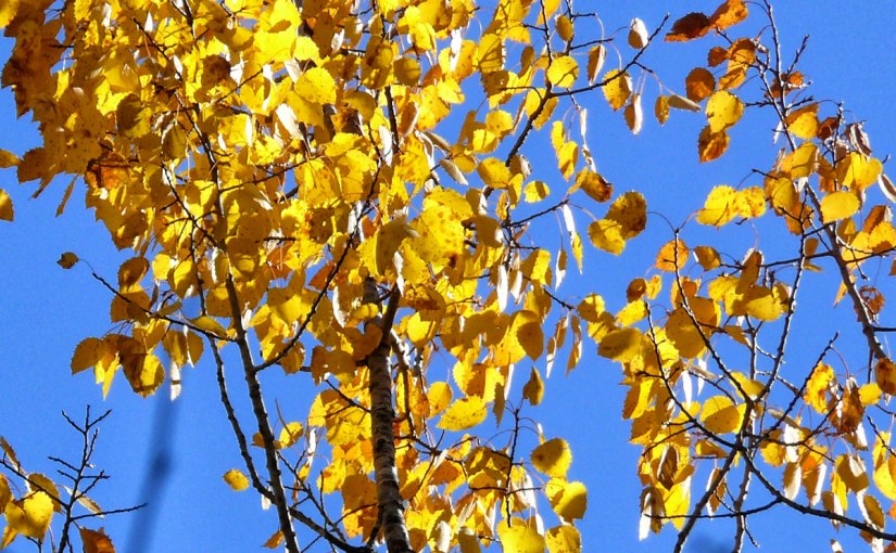 Postcards from Around the&nbsp;World