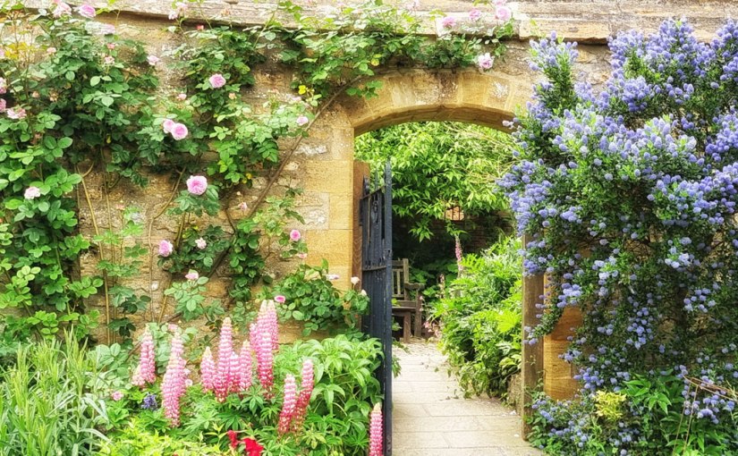 What’s in a&nbsp;Garden