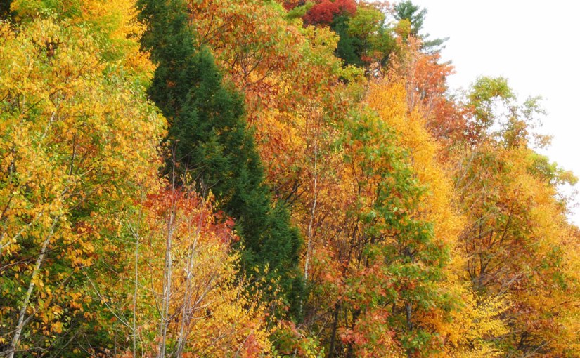 Postcards from Around the&nbsp;World