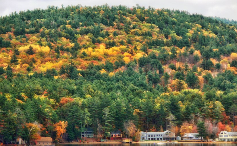 Postcards from Around the&nbsp;World