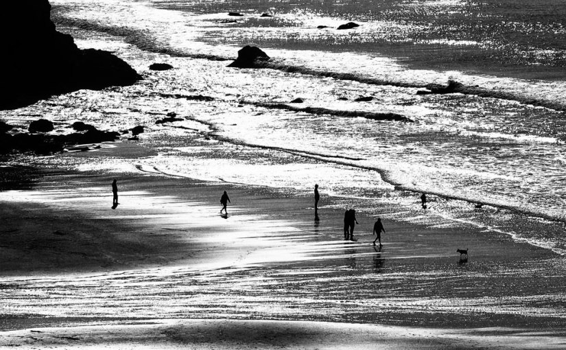 Monochrome Madness |&nbsp;Backlight