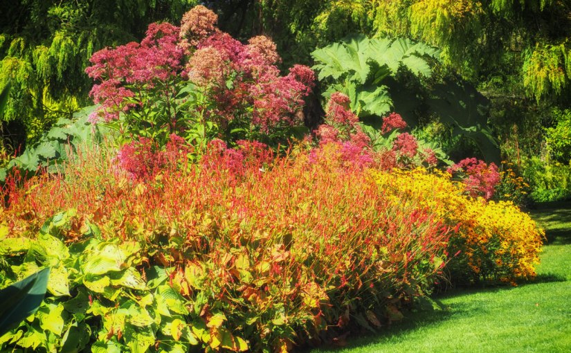 Beth Chatto Water&nbsp;Garden